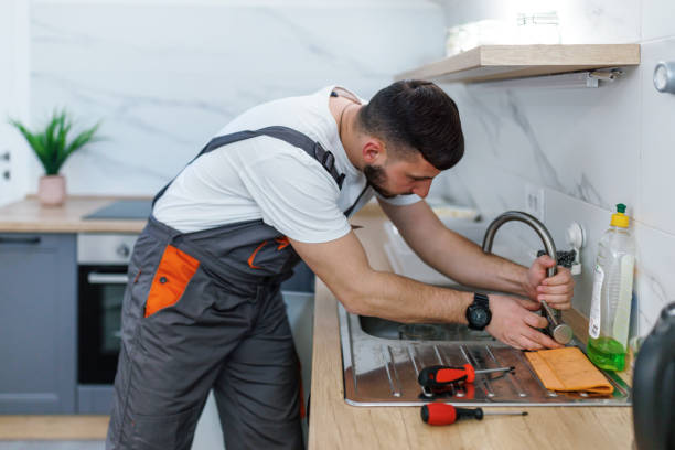 Best Same-Day Plumbing Service  in South Monroe, MI