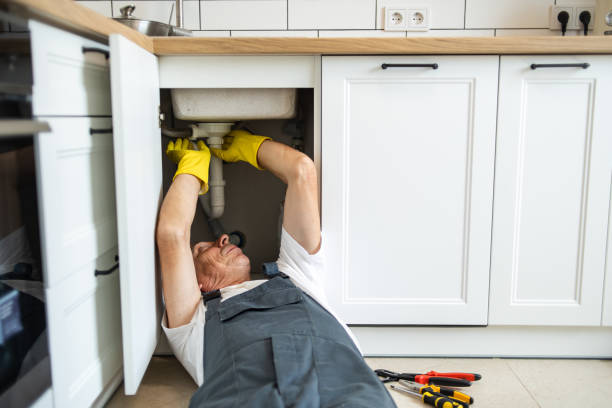 Best Boilers & Radiators  in South Monroe, MI