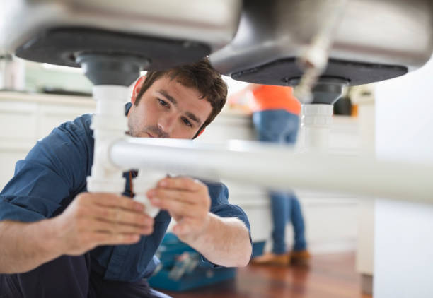Best Clogged Drain Plumber  in South Monroe, MI